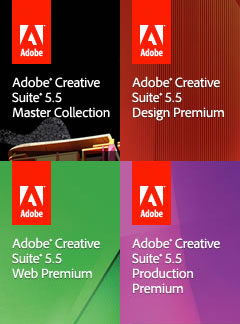 what is adobe creative suite